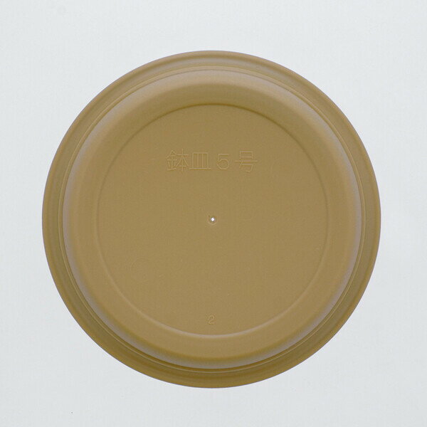 �٥��ȥ� �ե���󥰥ݥå��ѥץ졼��(5��/��������) MA-3282