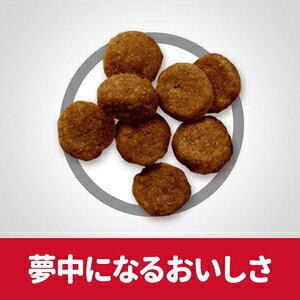 サンプル画像2