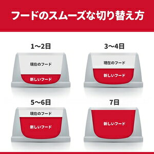 サンプル画像3