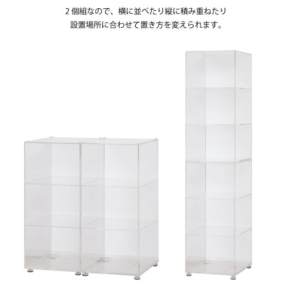 クロシオ アクリリック シューズラック2個組(幅26×奥行29×高さ54.5cm) 23370 ディ...