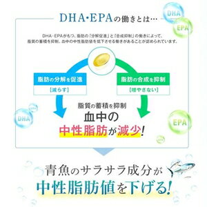 DHC DHA 60日分 240粒 DHC DHC60ニチDHA240T