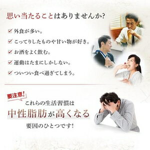 DHC DHA 60日分 240粒 DHC DHC60ニチDHA240T