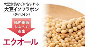 DHC 20日大豆イソフラボンエクオール（20粒） DHC DHC20ニチダイズエクオ-ル20