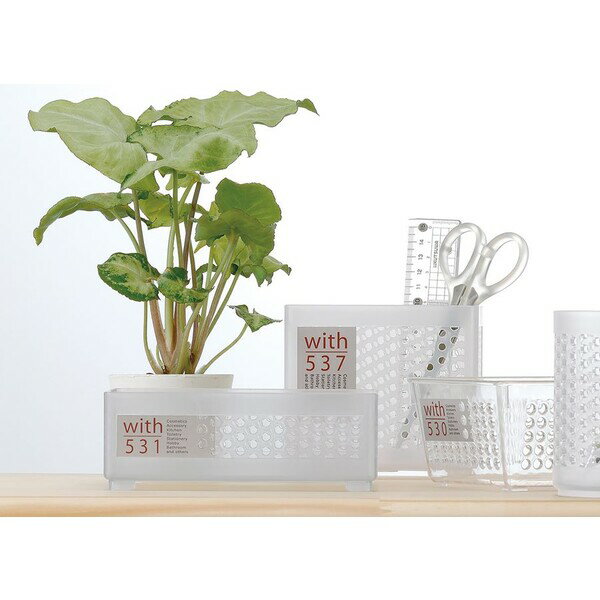 イノマタ化学 ウィズ531 長角(ナチュラル) #4531 inomata [4531イノマタ] [2]