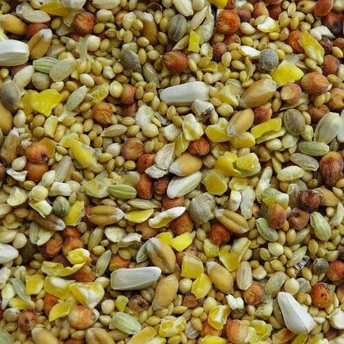 ��Ļ�μ翩 �������� �����ХȤΤޤ��� 1.6kg �ʥ�����ڥåȥա��� �������륭���ХȥΥޥ�����1.6KG