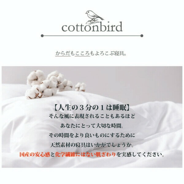 バード 【日本製】綿100%BOXシーツ SD クレイブラウン(120×200cm) SB-504-N-BS-SD-GBE シーフィールド ボックスシーツ ワンタッチシーツ 全周ゴム仕様 敷き布団カバー セミダブル [SB504NBSSDGBE]