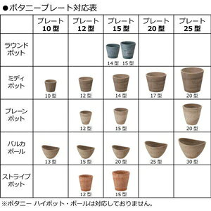 ボタニー プレート 12型（ダークグレー） リッチェル ボタニ-プレ-ト12ガタダ-クク