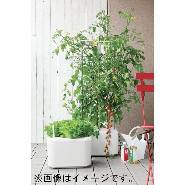 協和 ホームハイポニカ MASUCO KW-2057316