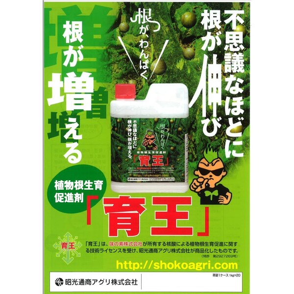 昭光通商 植物根生育促進剤 育王 300g ST-2057381
