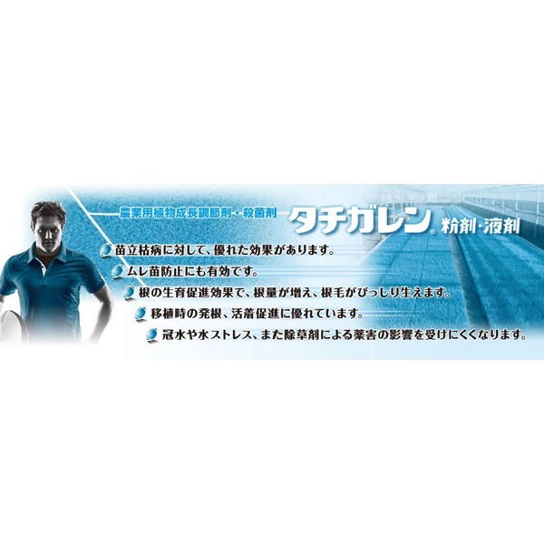 三井化学 殺菌剤 タチガレン液剤 500ml MK-2056994 植物成長調整剤 ヒドロキシイソ...