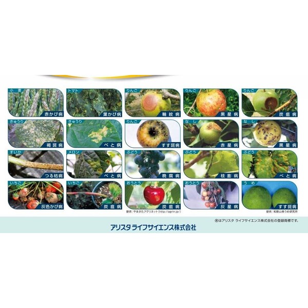 アリスタ 殺菌剤 オーソサイド水和剤80 500g AS-2056386 キャプタン水和剤 キャプ...