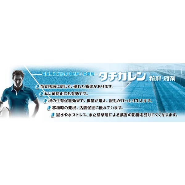 三井化学 殺菌剤 タチガレン粉剤 1kg MK-2057027 植物成長調整剤 ヒドロキシイソキ...
