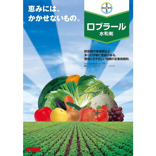 バイエル 殺菌剤 ロブラール水和剤 100g BA-2056682 イプロジオン水和剤 イプロジ...