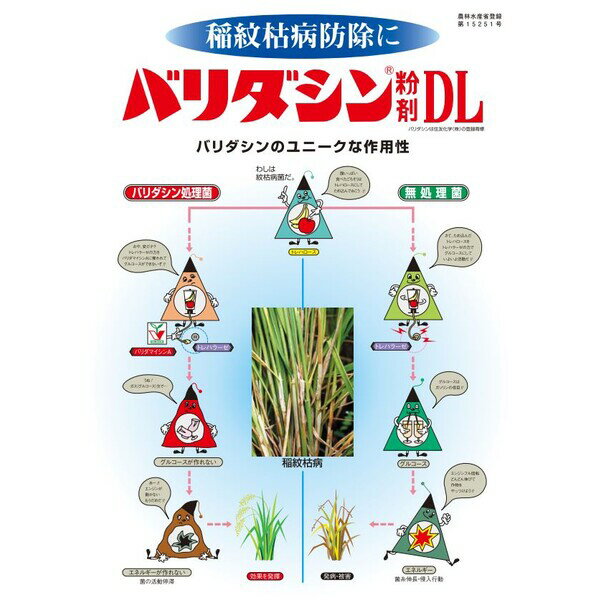 住友化学 殺菌剤 バリダシン粉剤DL 3kg SK-2056790 バリダマイシン粉剤 バリダマイ...