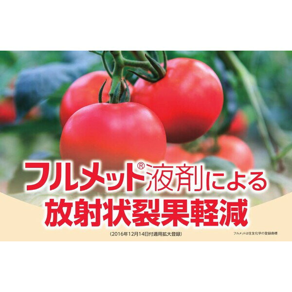 住友化学 植物成長調整剤 フルメット液剤 10ml SK-2056804 ホルクロルフェニュロン...