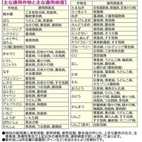 ���ݺޡ����ɤ��¡������¡������ǥ˥󥰡���� ���ݺ� GF�٥�졼�ȿ��º� 0.5g��10���� KINCHO��� �٥��-�ȥ����略��