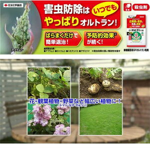 家庭園芸用GFオルトラン粒剤　650g KINCHO園芸 GFオルトランリユウザイ650G