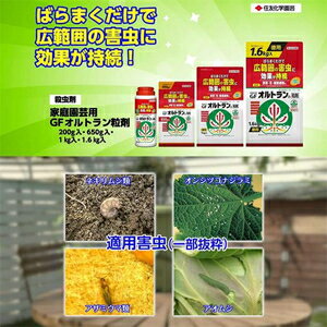 家庭園芸用GFオルトラン粒剤　650g KINCHO園芸 GFオルトランリユウザイ650G