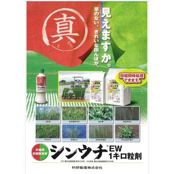 科研製薬 水稲用除草剤 シンウチEW 500ml KS-2057371 移植前後原液散布 真打ち 移...