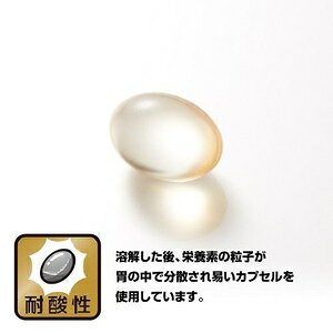 鮫肝油　90粒 野口医学研究所 S)サメカンユ90T