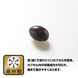 コエンザイムQ10　60粒 野口医学研究所 S)コエンザイムQ10 60T