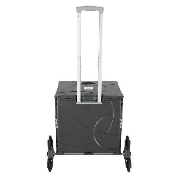＆.FLAT コンパクトキャリーケース（ダークグレー・約48L） TRM-FR0148L-DGR RANGER