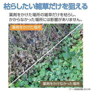 ���ݥ����ݥǥ󡡤ߤ�ʤˤ䤵��������� ���������𥳥��� �Ĥᤫ�� 850ml�����������ѡ� ���������� EG�������Υॷ�����ꥫ��