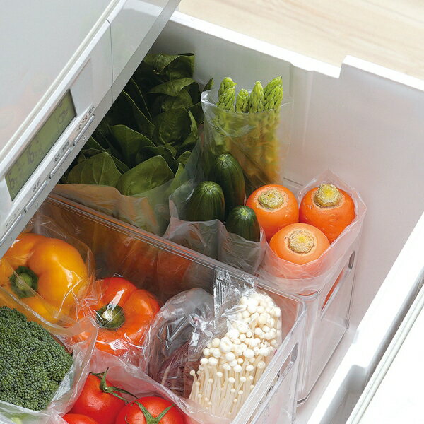 パール金属 野菜室・冷凍室トレースリム HB-5560 [HB5560レイトウコスリムトレ]