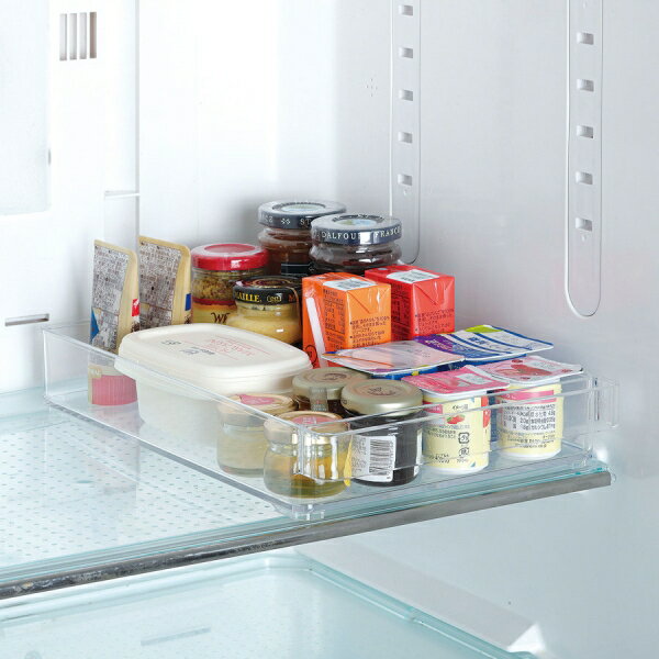 パール金属 冷蔵室トレー浅型 HB-5563 スキット [HB5563アサガタトレ]