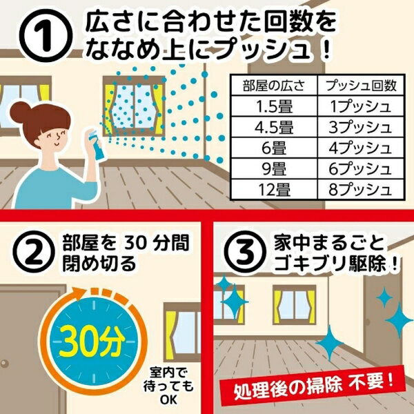 ゴキブリムエンダー 80プッシュ 36ml 金...の紹介画像2