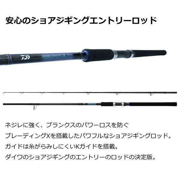 ショアジギング X 100MH (3)