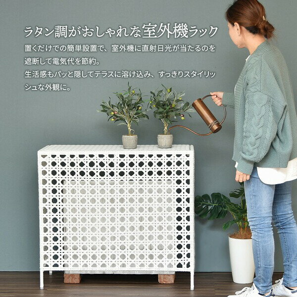 B.B�ե��˥��� �饿��Ĵ ���������С�(�������֥饦��) ONGS0081RADBR [ONGS0081RADBR]