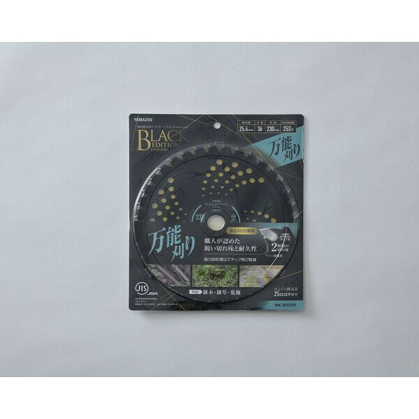 YAMAZEN �֥�å����åץ��� ��ǽ���� 230mm BK-SH230 ����