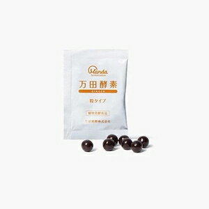 ���Ĺ��ǡ�GINGERγ��ʬ��˥����ס�44.1g ���Ĺ��� �ޥ��������G�֥�ݥ�44.1G