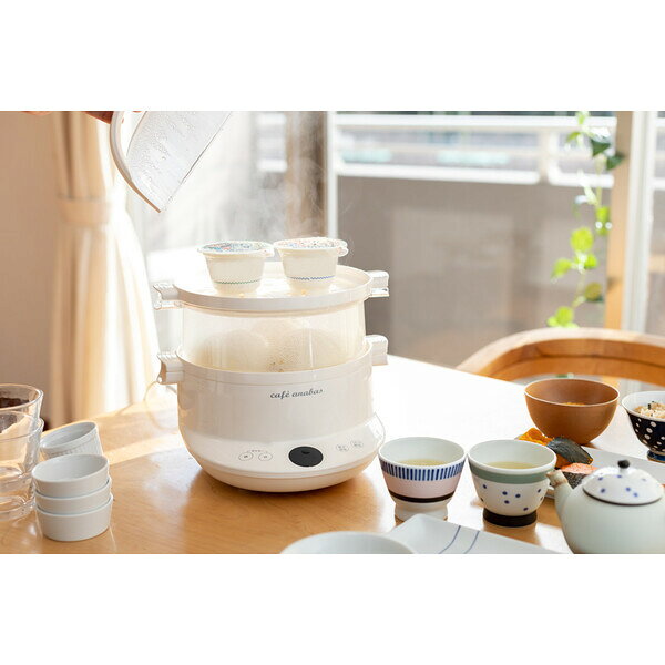 アナバス スチーム名人＆かんたん蒸し器　L SE-003 アナバス [SE003]