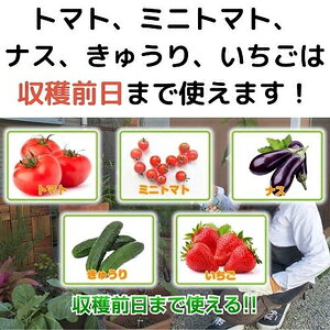 パイベニカVスプレー　1000ml KINCHO園芸 パイベニカVスプレ-1000ML