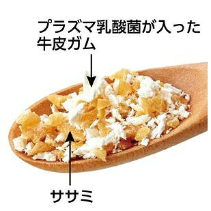 サンプル画像2