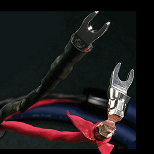 ������� ���ԡ����������֥�ڼ��������ʡۥ��ꥢ���ӥ���(2.5m���ڥ�) CLEARBEYOND2.5MSP CARDAS Clear Beyond