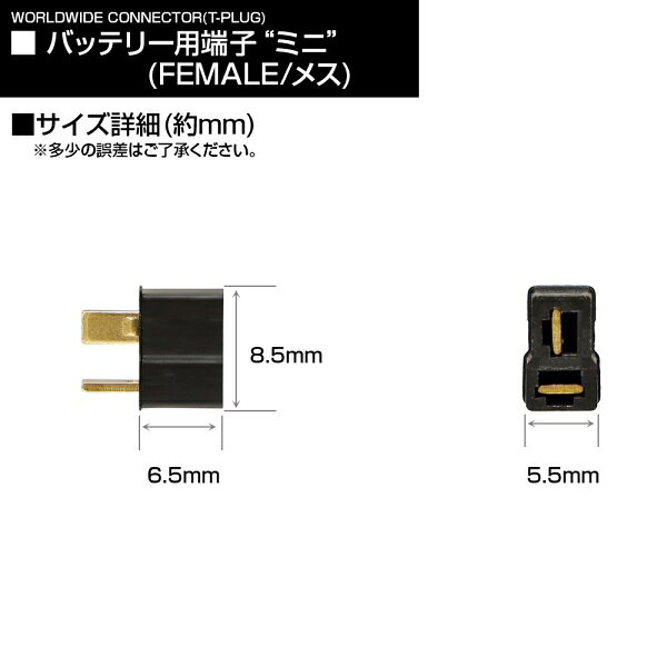 LayLax ワールドワイドコネクター(Tコネクター)(バッテリー用端子“ミニ”(FEMALE/メ...