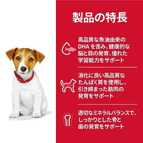 サンプル画像3