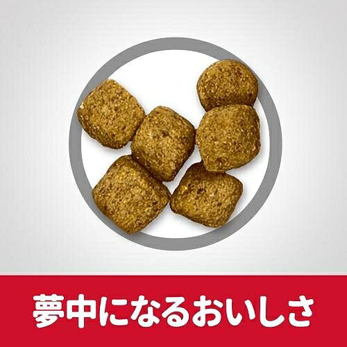サイエンスダイエット シニアライト 小粒 肥満傾向の高齢犬用 12kg 日本ヒルズ SDシニアライトコツブ12KG jism-14296807 Joshin web 家電とPCの大型専門店 サンプル画像3