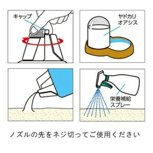 ��ɥ��ꥳ���ʥåĥ��������� 250ml �ޥ륫�� ��ɥ��ꥳ���ʥĥĥ���-��-250ML