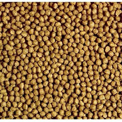 ひかり カメのエサ小粒 50g キョーリン キヨ-リンカメノエサ 3