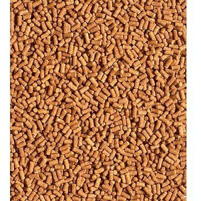 ���鶵���ѻ��� �Ҥ��� ���ꥬ�ˤΥ��� 50g ���硼��� ���ꥬ�˥Υ��� 50GN