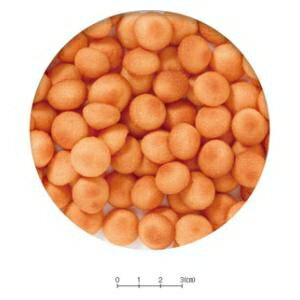 ちょびっと にんじんクッキー 10g スドー ...の紹介画像2