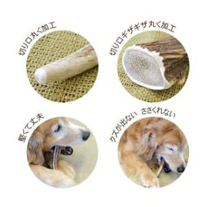 サンプル画像3