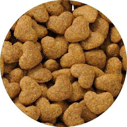 ビューティープロ キャット 成猫用 1歳から 室内猫用 チキン味 1.5kg 日本ペットフード ビユ-テ-Pセイネコチキン1.5KG