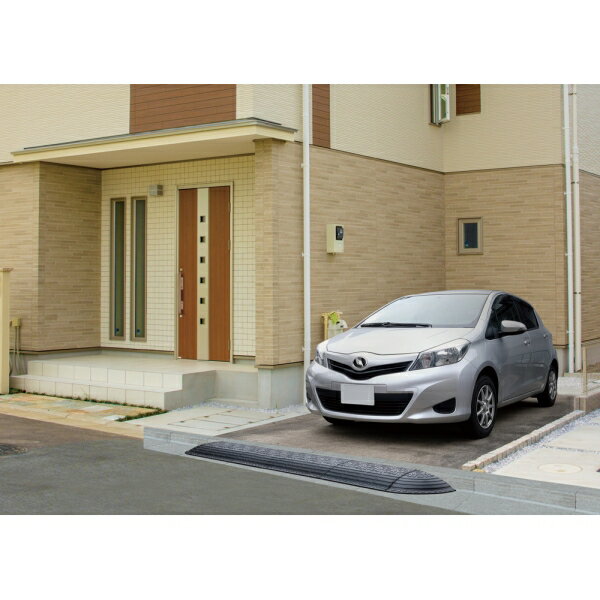 �����ꥹ������� �����ʺ��ץ졼�� GDP-45C(�֥�ĥ�)