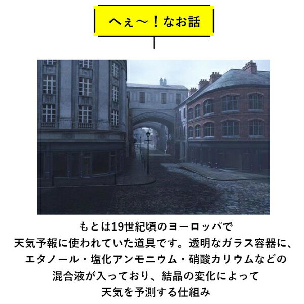 BACKYARD FAMILY(バックヤードファミリー) ストームグラス(スヌーピー) BF015678-1A-2A [BF0156781A2A] [3]