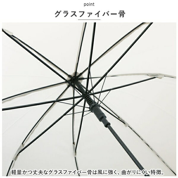 BACKYARD FAMILY(�Хå��䡼�ɥե��ߥ꡼) �ӥˡ��뻱(���졼���塦60cm) BF026417-1A-2D ���顼�ɡ���ӥˡ��� [BF0264171A2D]